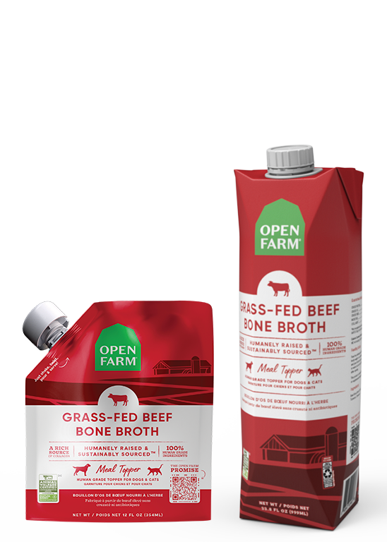 Collagen-Rich Beef Bone Broth Topper for Cats – Pumpkin & Turmeric