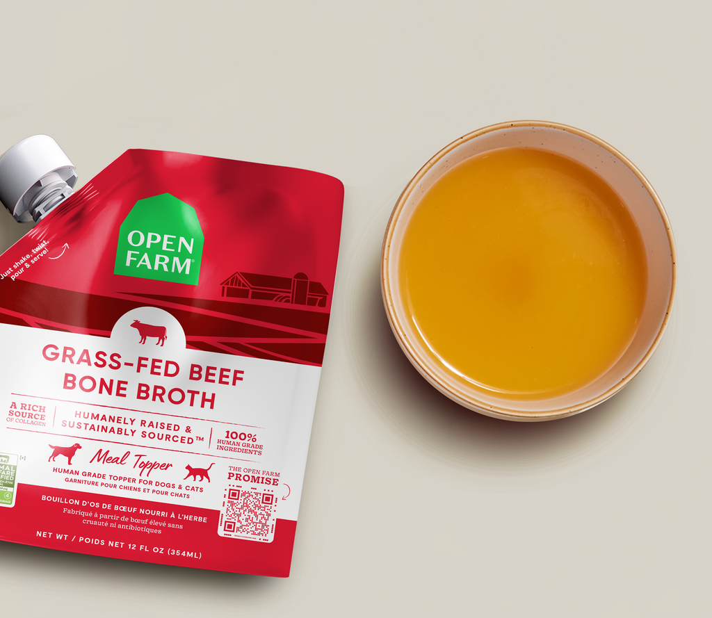 Collagen-Rich Beef Bone Broth Topper for Cats – Pumpkin & Turmeric