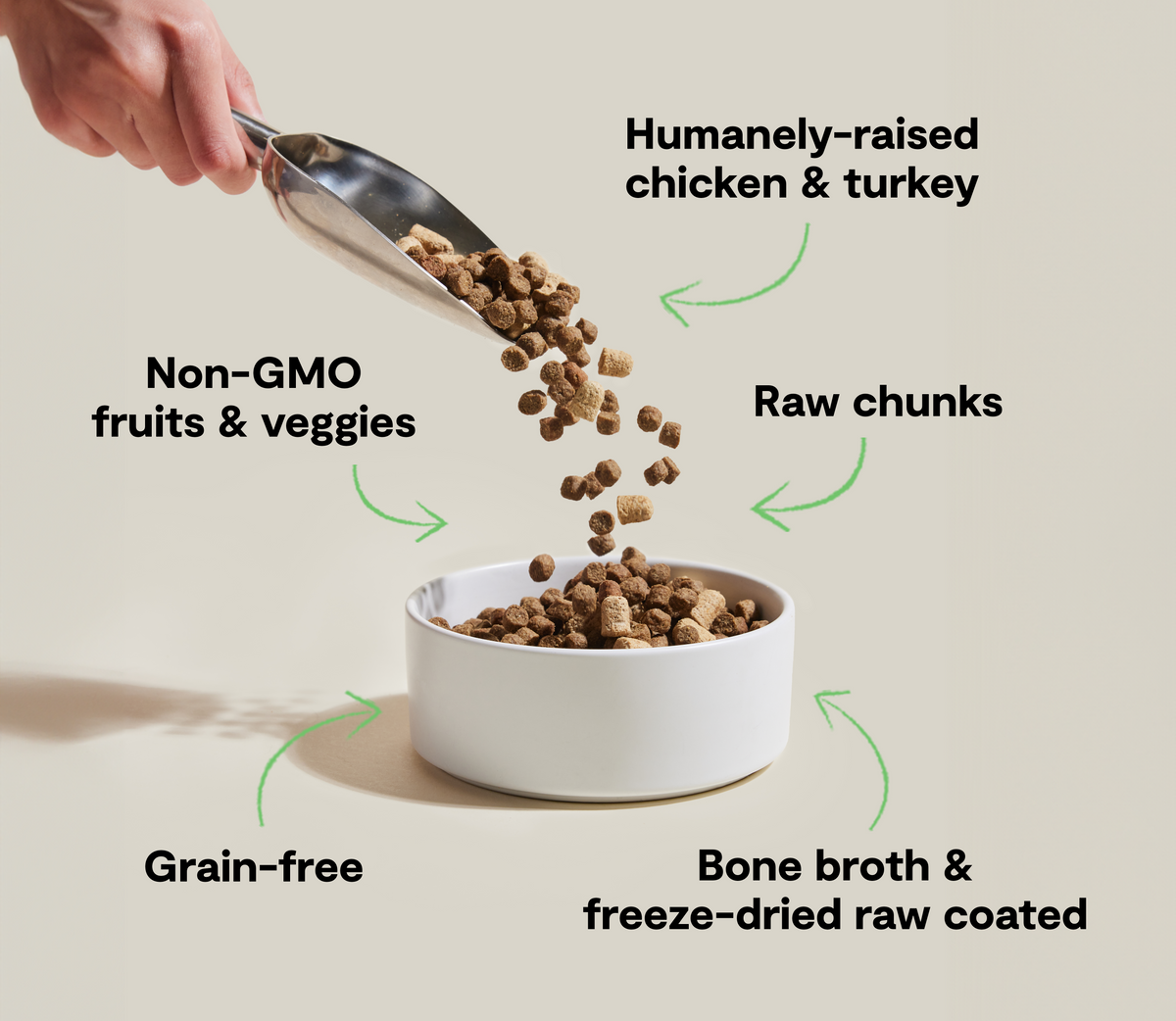 Chicken & Turkey Grain-Free Raw-Coated Cat Kibble – Freeze-Dried Bites