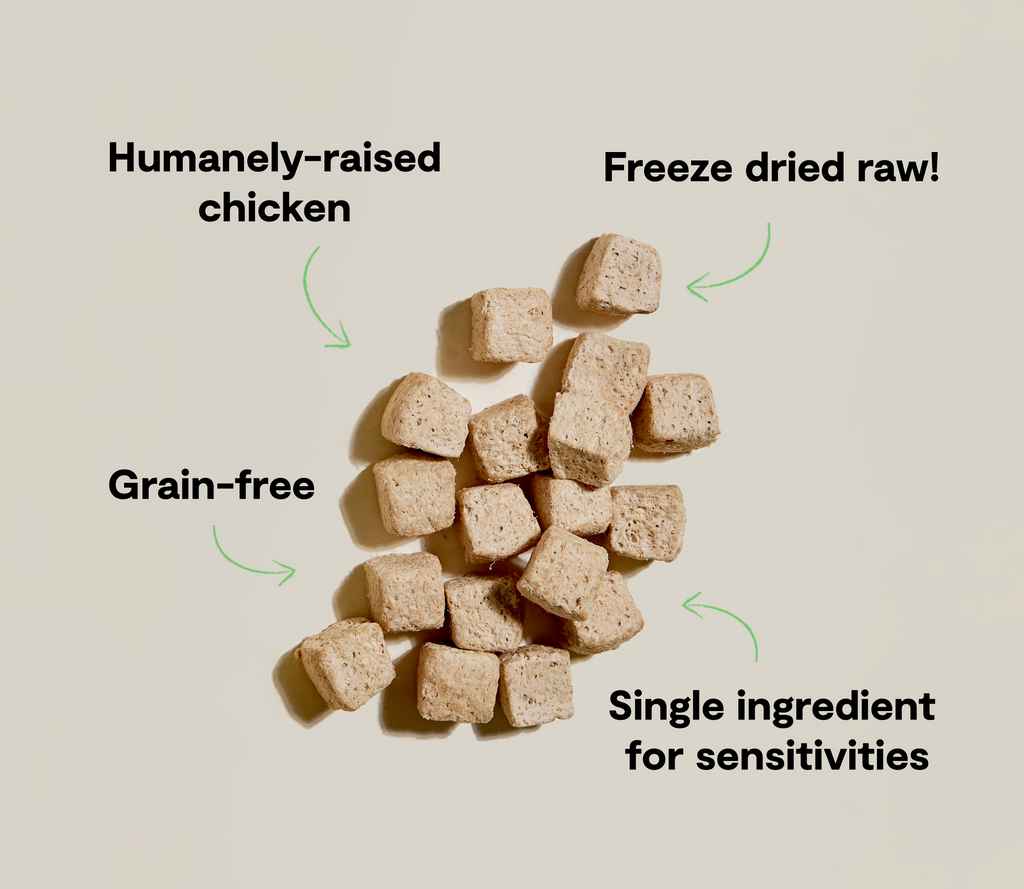 Single-Ingredient Freeze-Dried Raw Chicken Dog Treat Cubes - Grain-Free