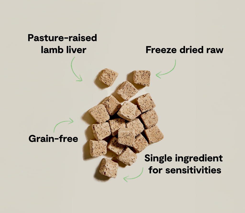 Freeze-Dried Lamb Liver Dog Treat Cubes – Single-Ingredient Grain-Free