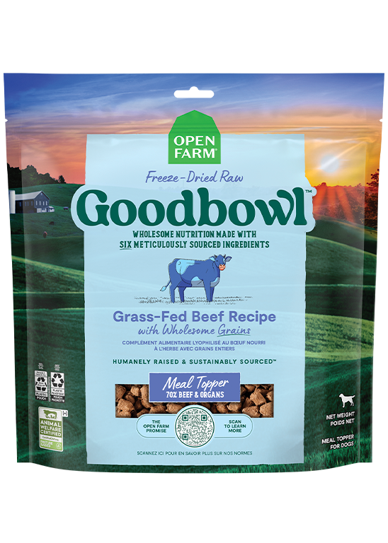 Grass-Fed Beef Freeze-Dried Raw Morsel Topper – 6-Ingredient Dog Mixer
