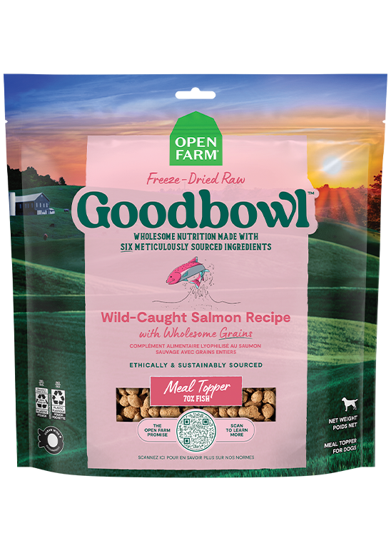 Wild-Caught Salmon Freeze-Dried Raw Dog Food Topper - 70% Fish Morsels