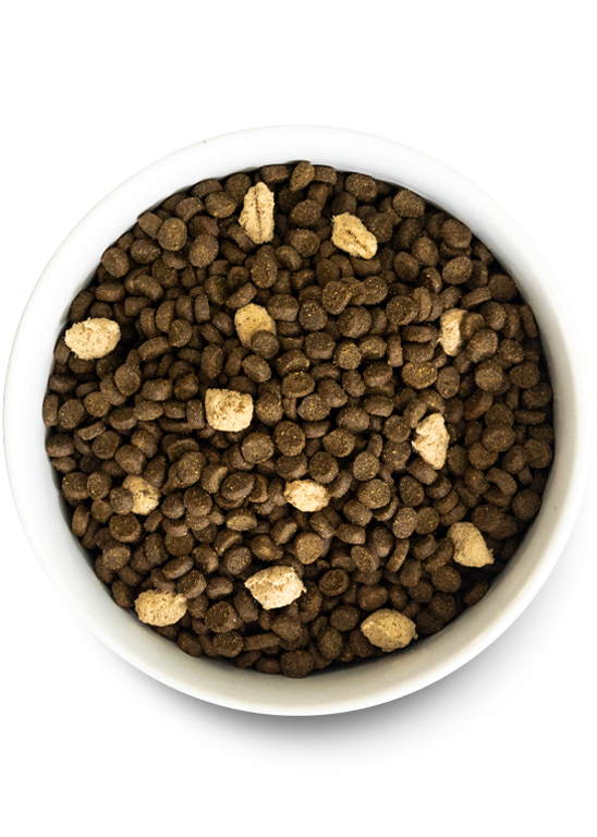 Cat RawMix Plus Bundle – Grain-Free Kibble, Wet Stew & Turkey Broth