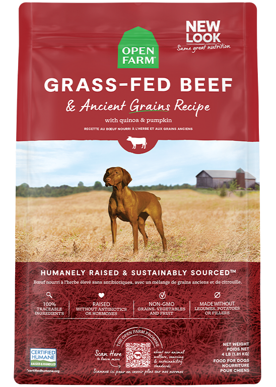 Certified Humane Grass-Fed Beef & Ancient Grains Dry Dog Kibble