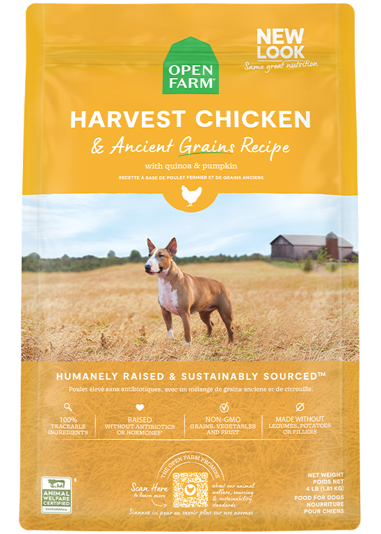 Harvest Chicken & Ancient-Grain Dog Kibble – Quinoa Coconut Oil Friendly