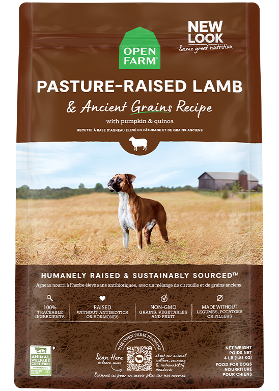 New Zealand Lamb & Ancient-Grain Dog Kibble – Quinoa Coconut Oil Friendly