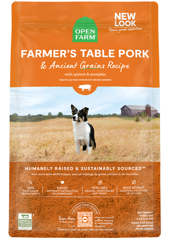 Pork & Ancient Grains Dry Dog Food - Complete Kibble with Pumpkin & Quinoa