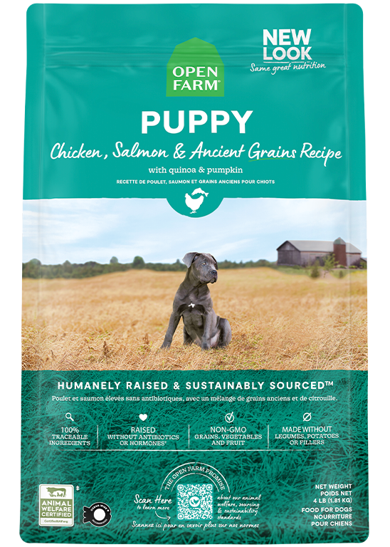 Salmon & Chicken Ancient-Grain Puppy Kibble – Immune-Supporting Recipe
