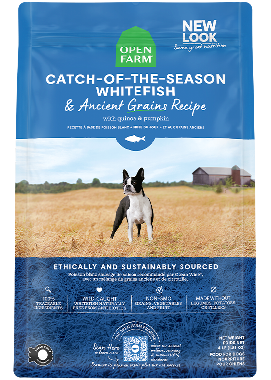 Seasonal Wild Whitefish & Ancient Grains Dry Dog Kibble – Omega-3