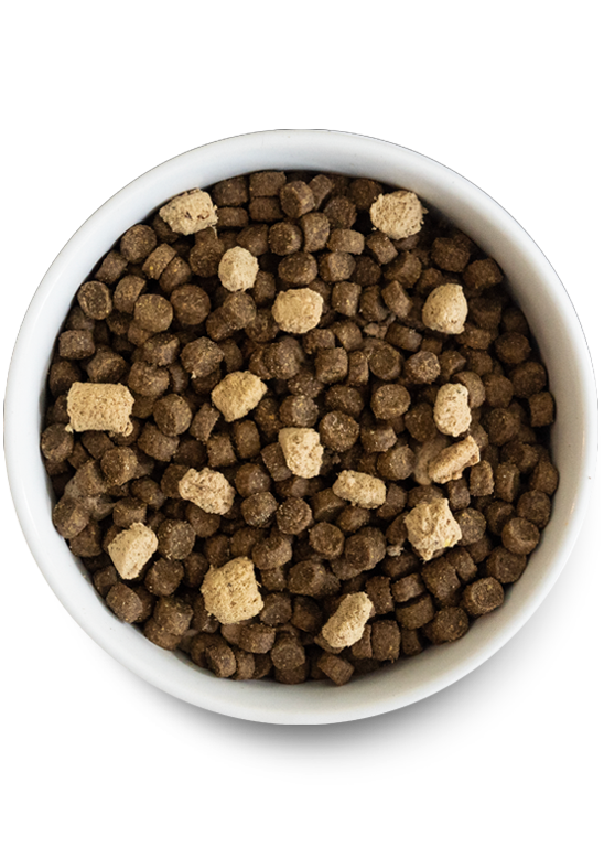 RawMix Plus Dog Bundle – Grain-Free Kibble Beef Bone Broth Treats