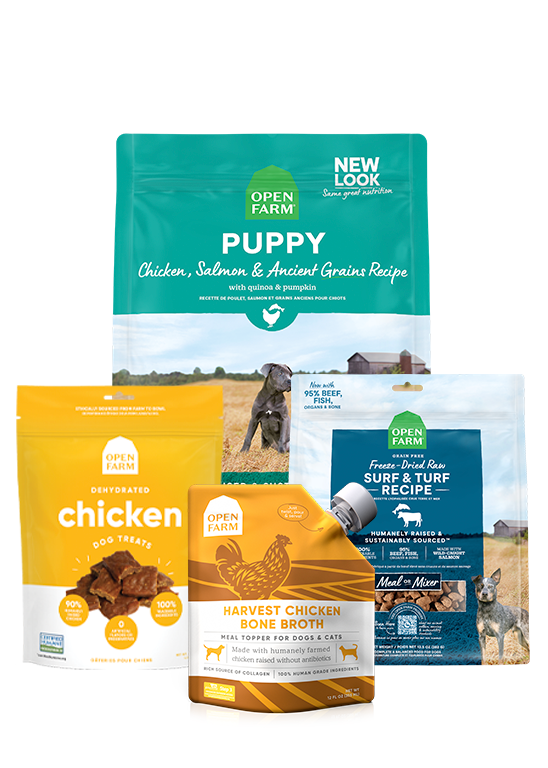 High-Protein Puppy Starter Bundle – Kibble, Freeze-Dried, Broth & Treats