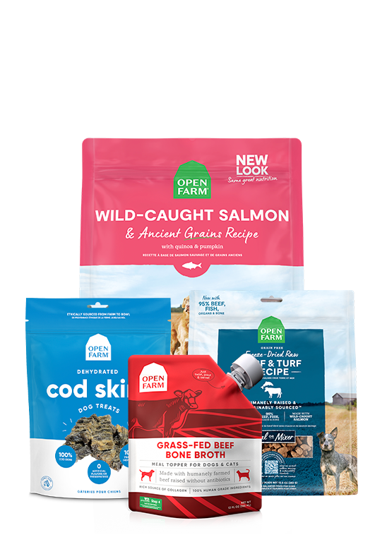 Dog Best-Sellers Bundle – Salmon Kibble, Freeze-Dried, Cod Skin & Broth