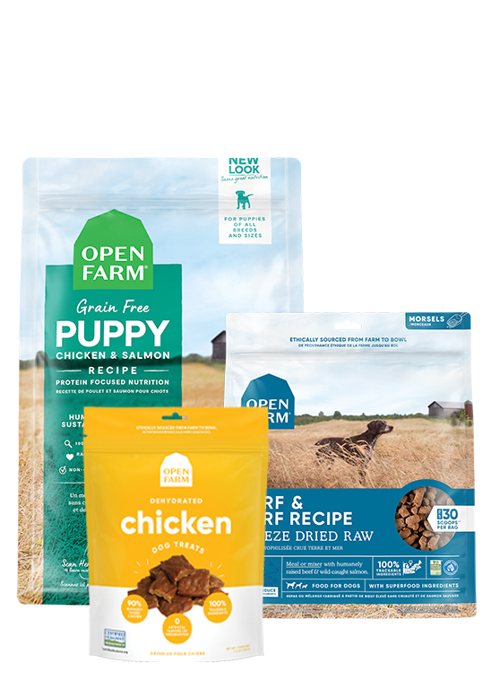 New Puppy Starter Bundle – Kibble, Freeze-Dried Raw & Training Treats