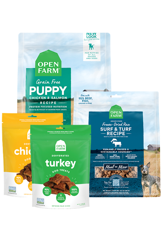 Puppy Essentials Starter Pack - Kibble, Freeze-Dried Raw & Dehydrated Treats