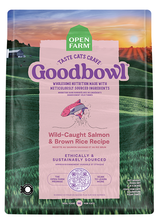 Wild-Caught Salmon & Brown Rice Cat Kibble – Protein-Rich Dry Food