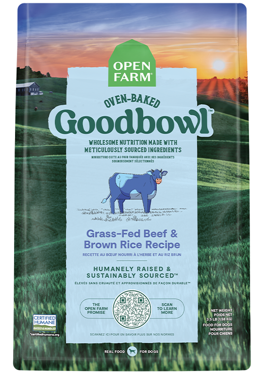 Grass-Fed Beef & Brown Rice Oven-Baked Dog Kibble – Wholesome Value