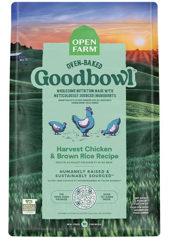 Oven-Baked Chicken & Brown Rice Dog Kibble - Complete Everyday Dry Food