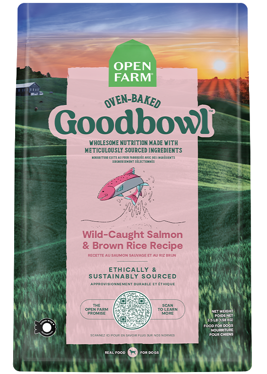 Oven-Baked Salmon & Brown Rice Dry Dog Food – Ocean Wise Certified