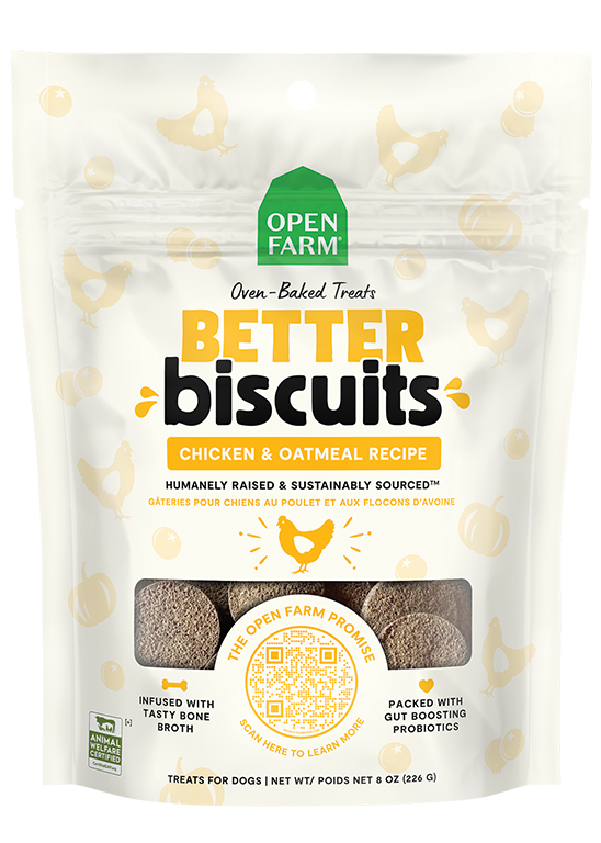 Oven-Baked Chicken & Oatmeal Dog Biscuits - Probiotic Pumpkin Crunchy Reward