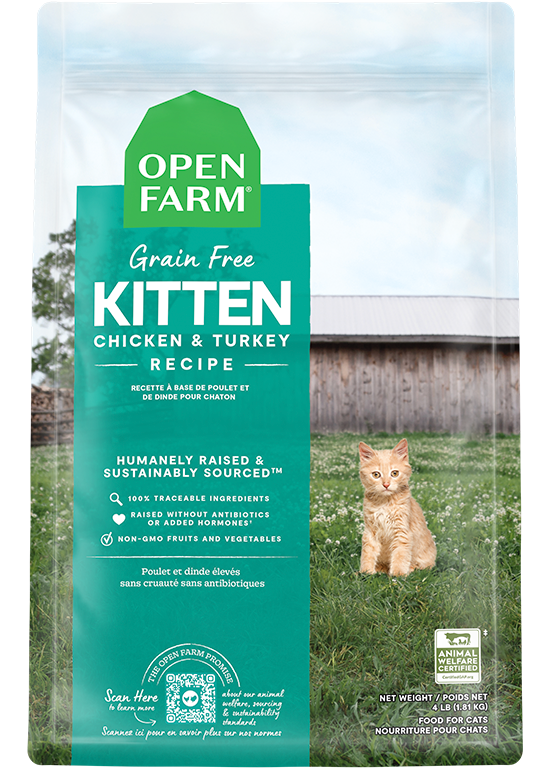 New Kitten Starter Bundle – Dry Kibble Freeze-Dried Raw Turkey Broth