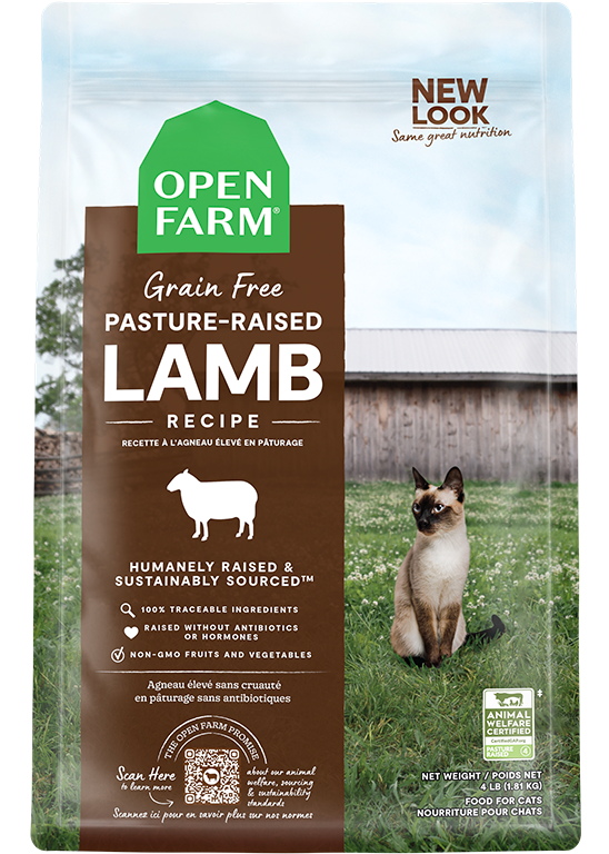 New Zealand Lamb Grain-Free Cat Kibble – Digestive Support Dry Food