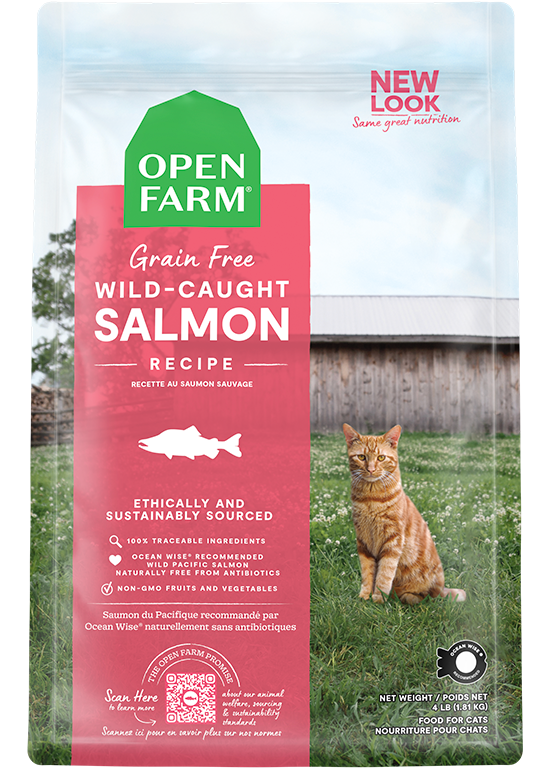 Cat Skin & Coat Wellness Bundle – Salmon Kibble, Raw Morsels & Broth