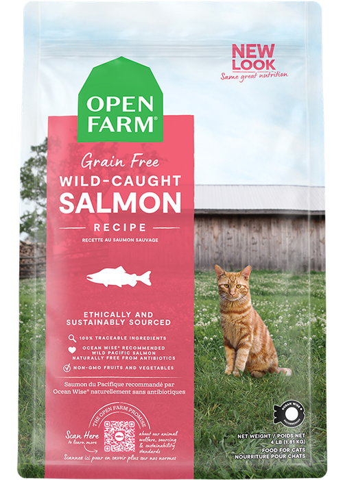 Cat Skin & Coat Wellness Bundle – Salmon Kibble, Raw Morsels & Broth