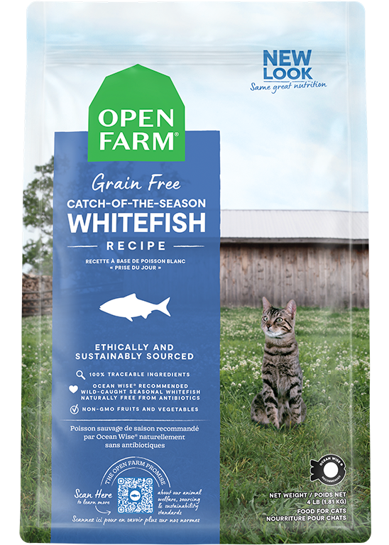 Grain-Free Wild-Caught Whitefish Cat Kibble - Omega-3 Skin & Coat Dry Food