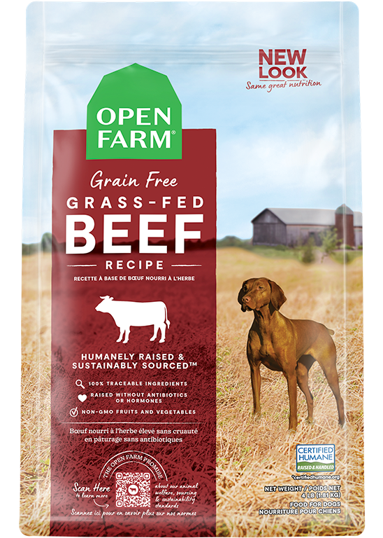 Grass-Fed Beef Dog Kibble – Grain-Free, Pumpkin & Sweet Potato, Traceable