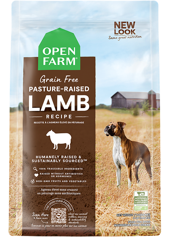 Pasture-Raised Lamb Dog Kibble – Grain-Free, Pumpkin & Coconut Oil