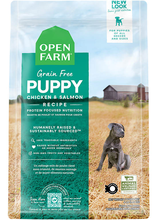 Puppy Essentials Starter Pack - Kibble, Freeze-Dried Raw & Dehydrated Treats