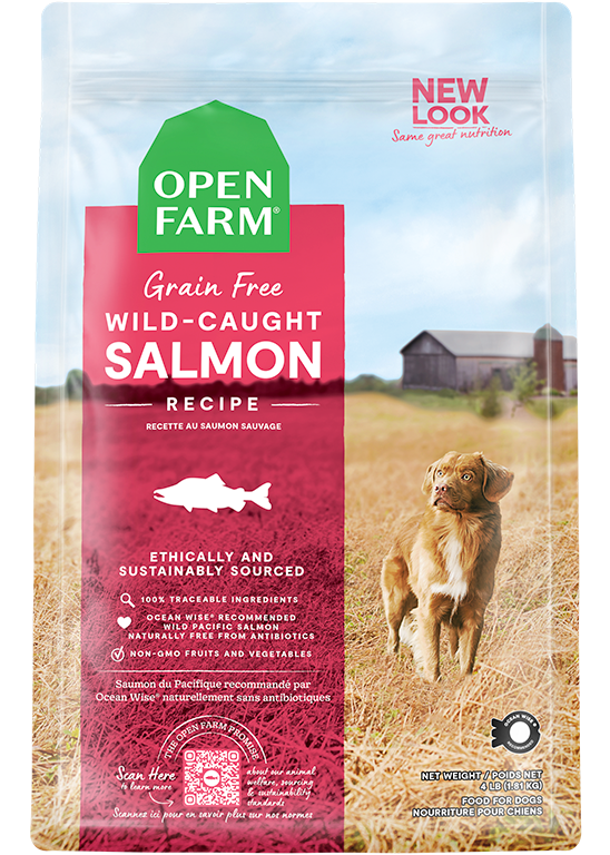 Ocean Wild Salmon Grain-Free Dry Dog Food Kibble – Omega-3 Rich