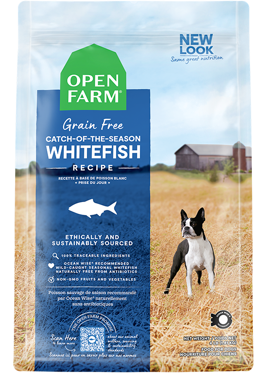 Wild-Caught Ocean Whitefish Dry Dog Food – Grain-Free Omega-3 Kibble