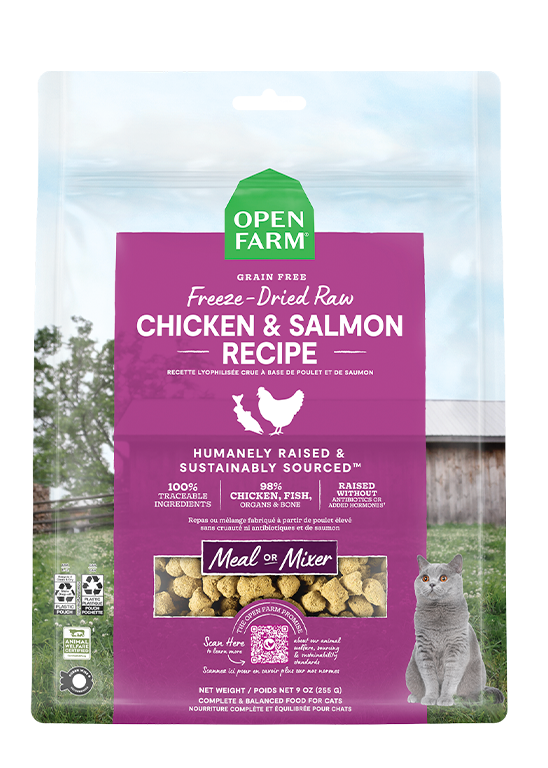 Chicken & Salmon Freeze-Dried Raw Cat Food – 98% Meat Morsel Meal Mixer