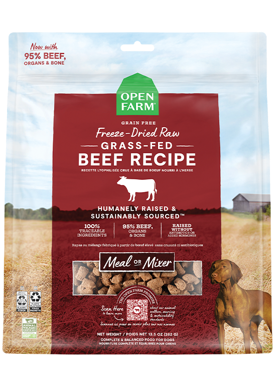 Single-Protein Grass-Fed Beef Freeze-Dried Raw Morsels – Dog Food, Grain-Free