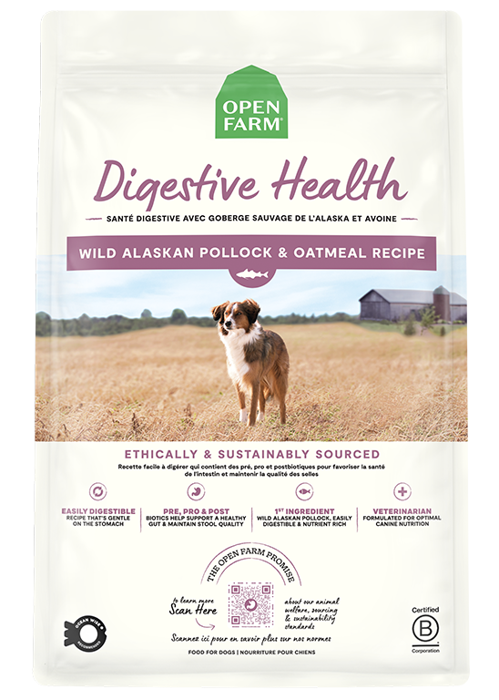 Wild Alaskan Pollock & Oatmeal Dog Kibble – Digestive Health Formula