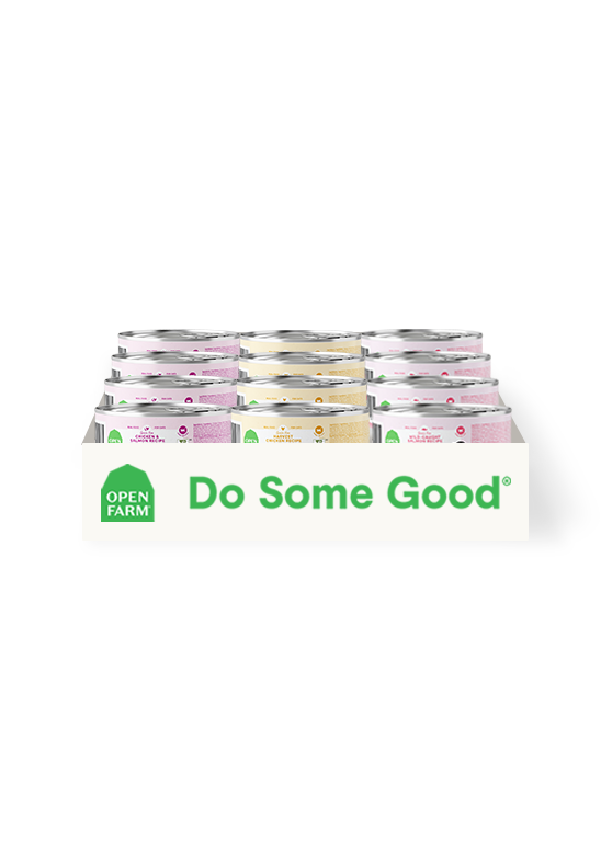 Silky Wet Cat Food Pâté Variety Pack – Chicken & Salmon Flavors