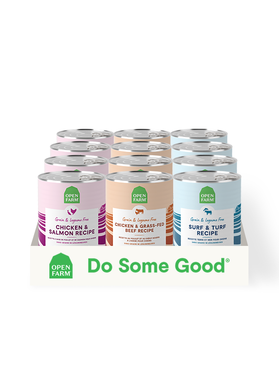 Dog Wet Pate Variety Pack - Chicken Beef, Surf & Turf & Chicken Salmon Cans