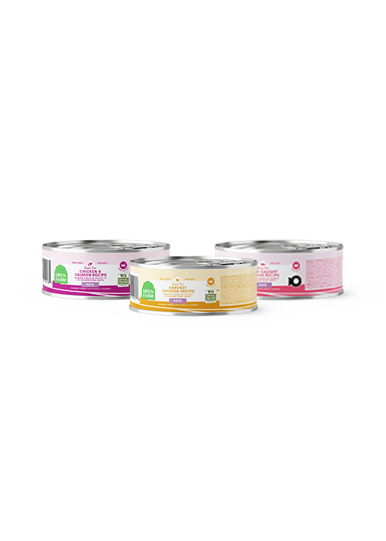 Silky Wet Cat Food Pâté Variety Pack – Chicken & Salmon Flavors