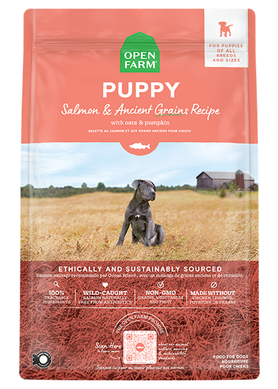 Puppy Kibble with Wild-Caught Salmon & Ancient Grains - Brain, Eye, Immune Support