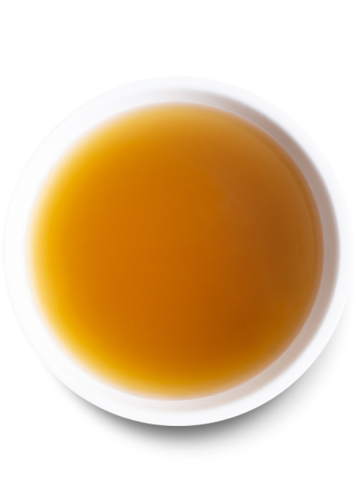 Collagen Bone Broth Trio for Dogs – Turkey, Chicken & Grass-Fed Beef