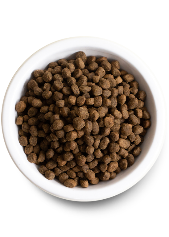 New Puppy Starter Bundle – Kibble, Freeze-Dried Raw & Training Treats