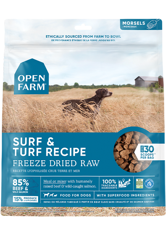 New Puppy Starter Bundle – Kibble, Freeze-Dried Raw & Training Treats