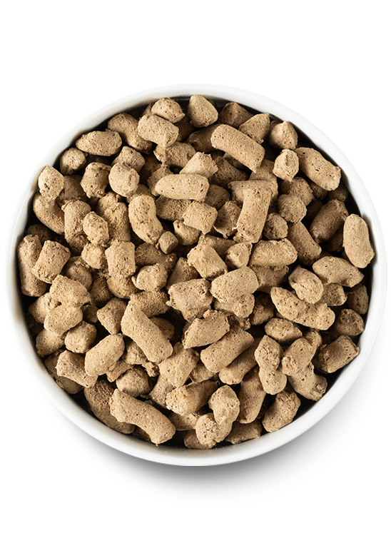 Puppy Essentials Starter Pack - Kibble, Freeze-Dried Raw & Dehydrated Treats