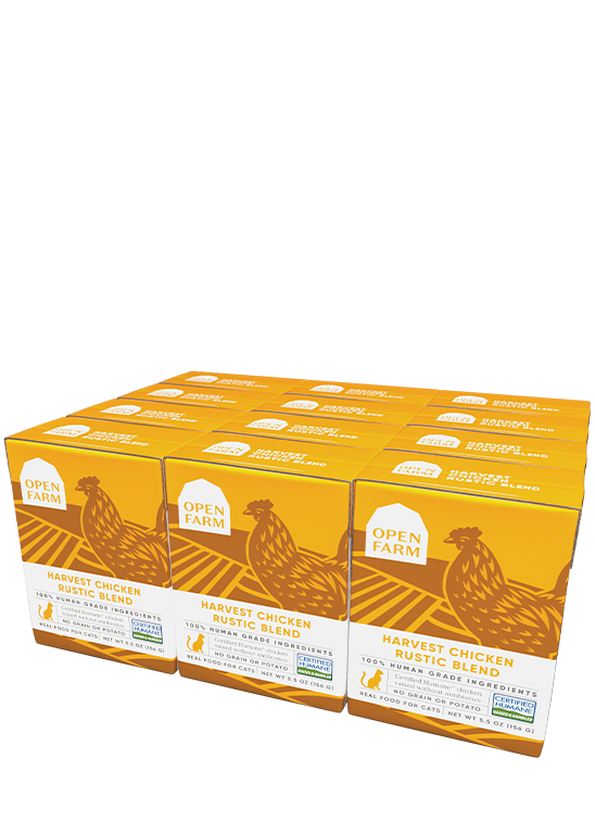 Cat RawMix Plus Bundle – Grain-Free Kibble, Wet Stew & Turkey Broth