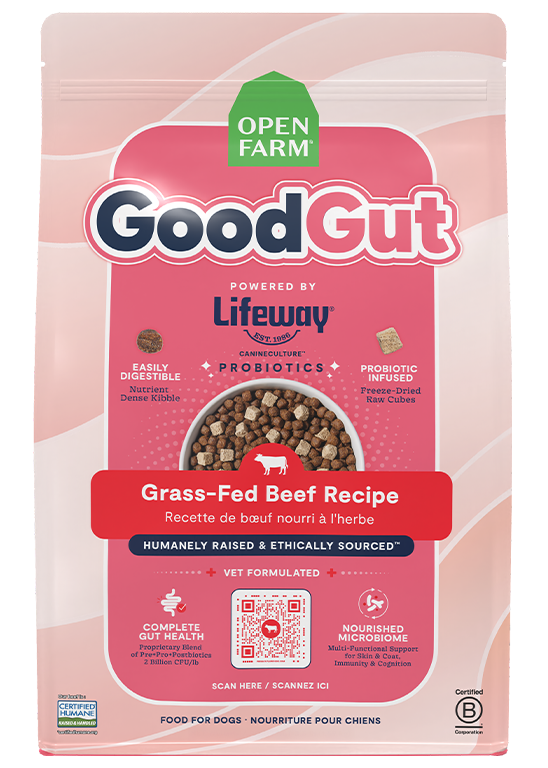 Probiotic Grass-Fed Beef Kibble – Freeze-Dried Raw Cubes, Gut-Health Dog Food