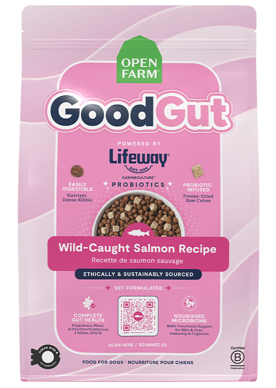 Probiotic Salmon Dry Dog Food with Freeze-Dried Raw Cubes – Gut Health