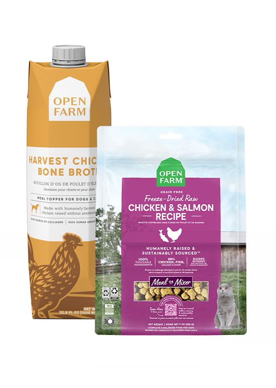 Picky Cat Mealtime Bundle – Freeze-Dried Raw Morsels + Chicken Bone Broth