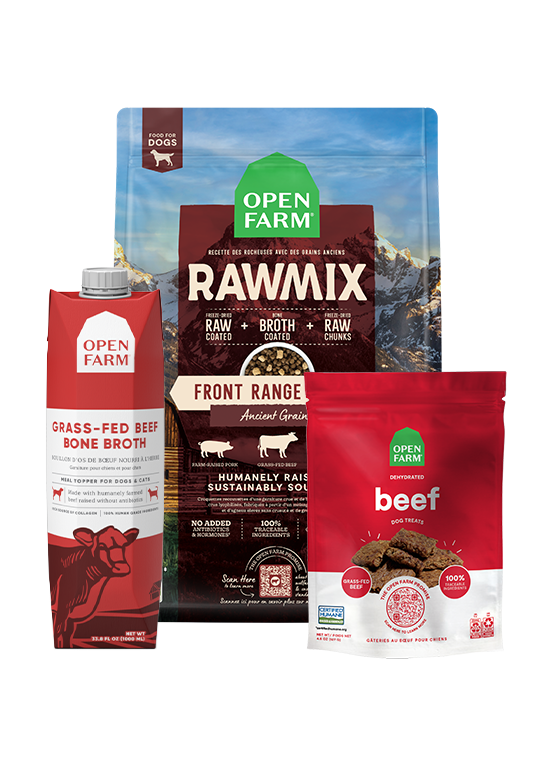 RawMix Plus Dog Bundle – Grain-Free Kibble Beef Bone Broth Treats